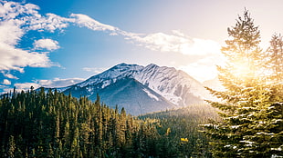 landscape photography of icy mountain under stratus cloud