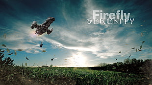 gray aircraft with firefly text overlay, Serenity, science fiction, The Doctor HD wallpaper