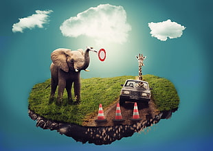 brown elephant,gray car with red traffic cone illustrationp