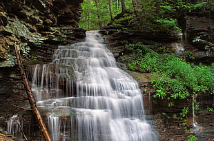 timelapse photography of water falls near plants