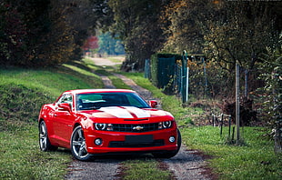 red Chevrolet Camaro, car, Chevrolet, Chevrolet Camaro, vehicle HD wallpaper