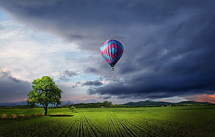 hot air balloon flying over green grass field
