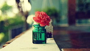 green glass jar, macro, flowers