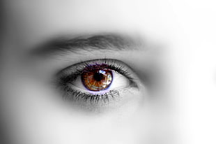 photo of human brown eyes