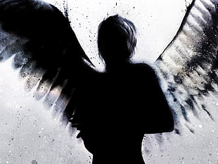 silhouette artwork of angel