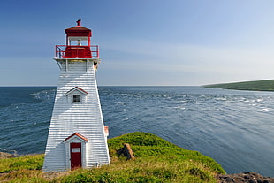 white and red lighthouse during daytime, boars