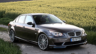 gray BMW sedan, BMW M5, BMW, car, vehicle HD wallpaper