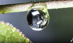 close up shot of water droplet HD wallpaper