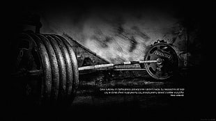 grayscale photo of barbell, muscle cars, barbell HD wallpaper