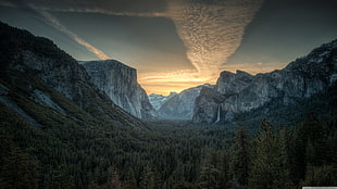 green trees, mountains, nature, Yosemite National Park