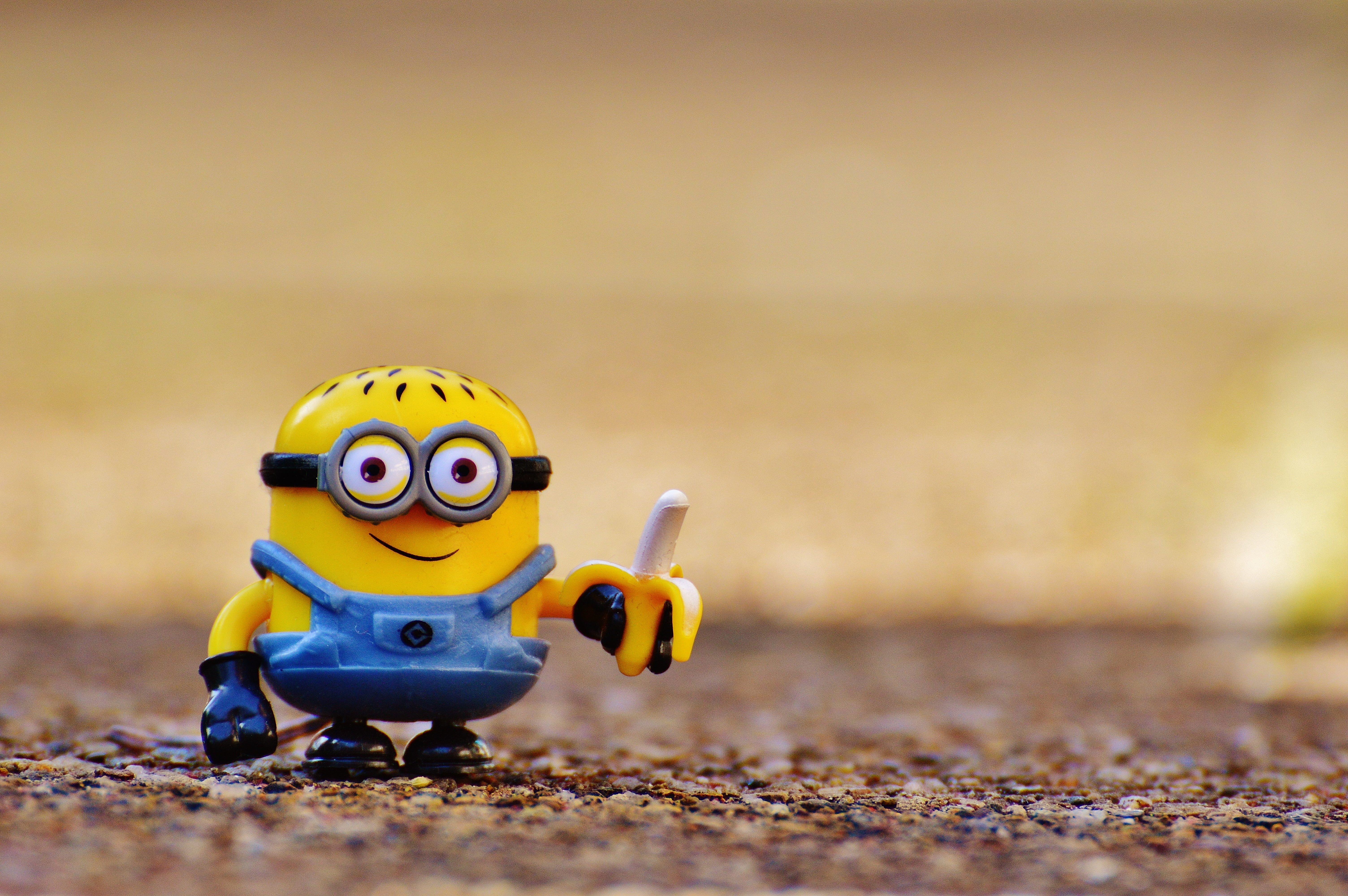 Shallow photography of yellow  Minion  plastic figure HD  