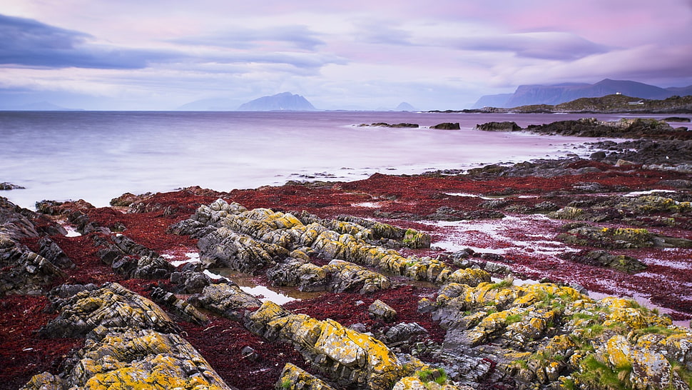 brown rocks, landscape HD wallpaper