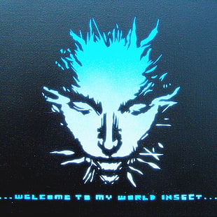 welcome to my world insect text with black background, quote, Shodan, System Shock 2, face