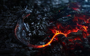 dragon on lava, lizards, dragon, fantasy art, digital art