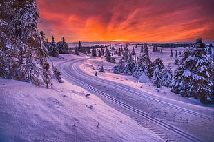 landscape photo of snow field with train tracks