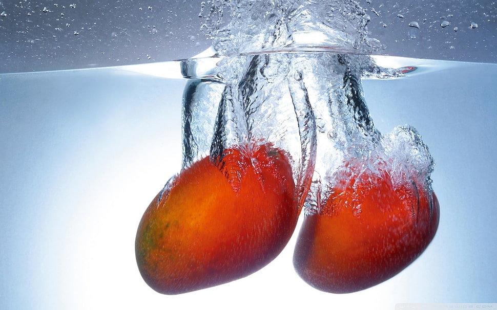 two mangoes in water HD wallpaper