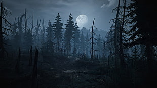 green pine trees and moon wallpaper, The Witcher 3: Wild Hunt, Skellige