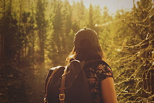 woman wearing black and brown knapsack looking at the trees during daytime