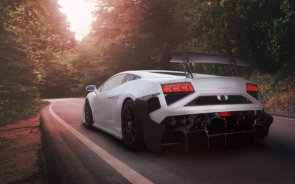 white sport car on road going to forest HD wallpaper