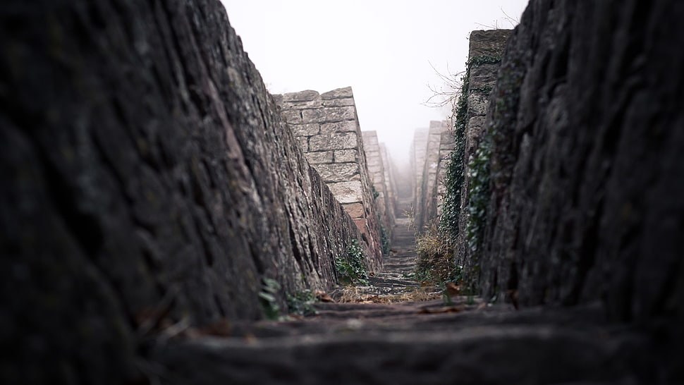 hallway, ladders, architecture HD wallpaper