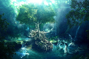 green leafed tree near body of water digital wallpaper, trees, blue