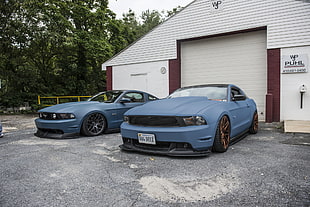 two blue Ford Mustangs parked in front of shutter gate