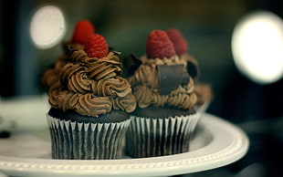 selective focus photography of chocolate cupcakes