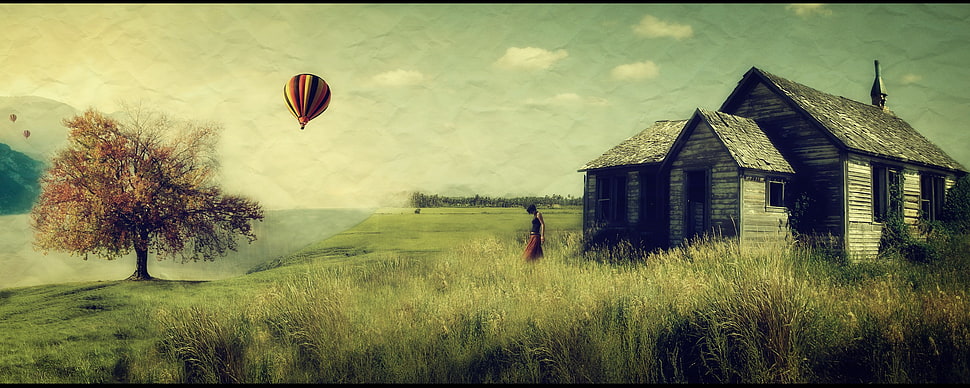 red and black hot air balloon near house during daytime HD wallpaper