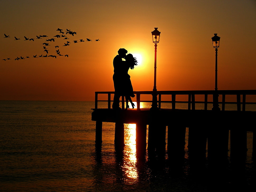 silhouette of man an woman kissing during sunset HD wallpaper