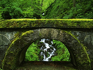 Bridge,  Arch,  Moss,  Falls HD wallpaper
