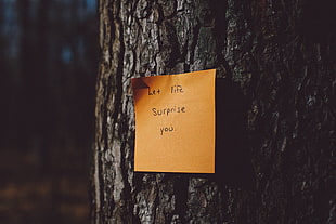 let life surprise you. quotes