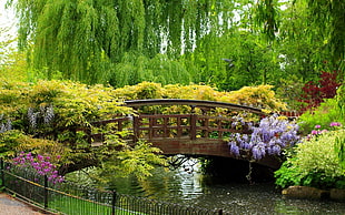brown wooden food bridge, trees, bridge, garden