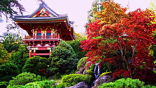 red wooden pagoda, garden, Asian architecture