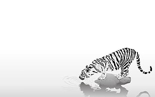 white and black tiger wallpaper, tiger, minimalism, simple background HD wallpaper