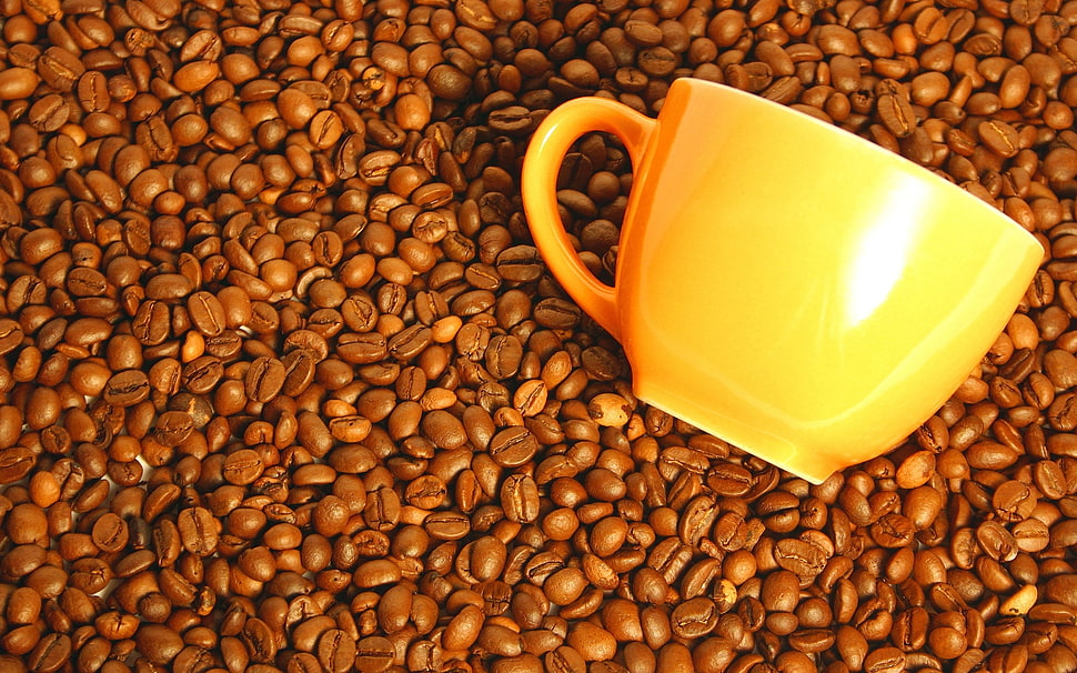 orange ceramic mug on coffee beans HD wallpaper