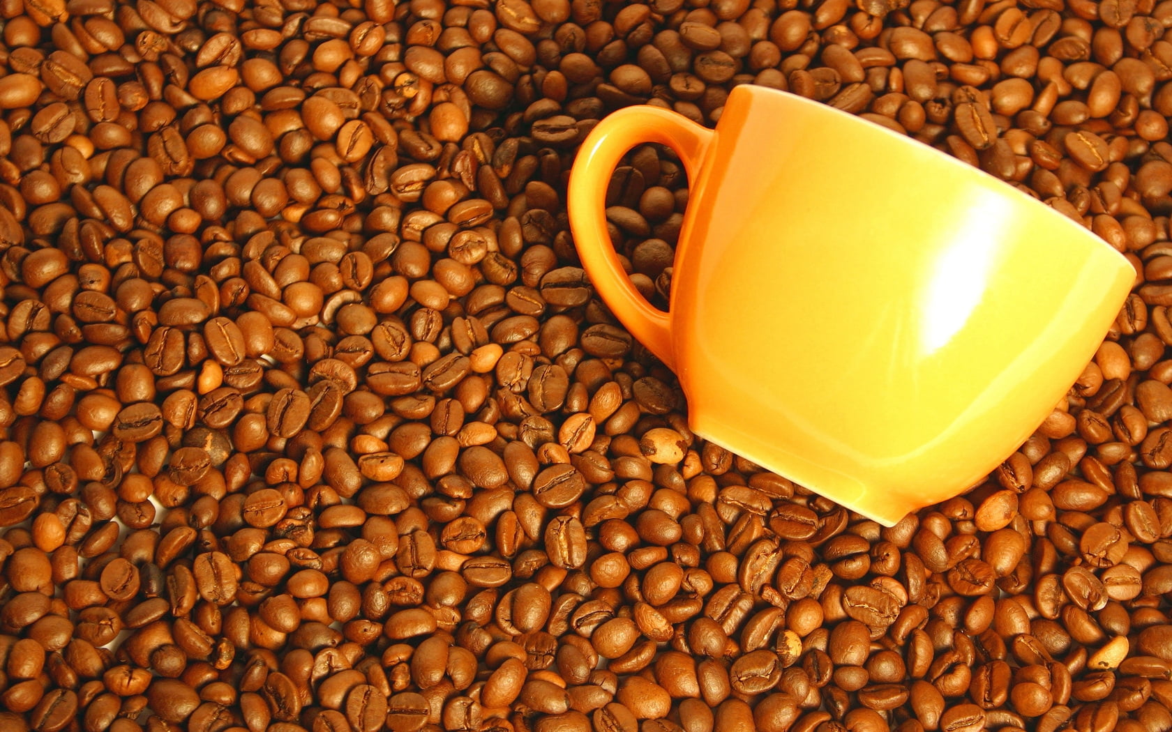 orange ceramic mug on coffee beans