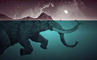 gray elephant illustration HD wallpaper