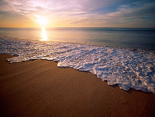 seashore with sunset HD wallpaper