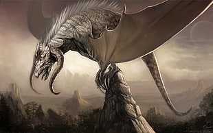 gray dragon on rock digital wallpaper, dragon