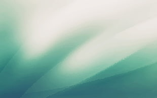 Form,  Line,  Oval,  Light