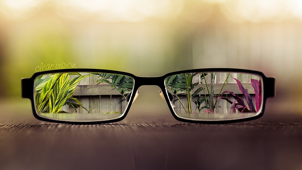 black framed eyeglasses with plants reflection HD wallpaper