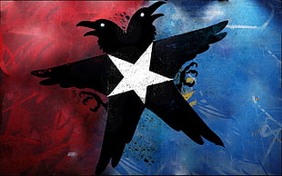 two black crow with star logo HD wallpaper