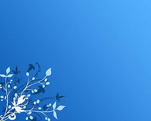 white and blue floral wallpaper