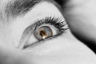 close up photography of human eye