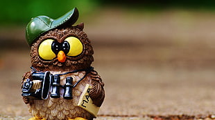 brown and white ceramic owl holding camera figurine, nature, animals, birds, owl