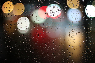 lights, water, blur, rain