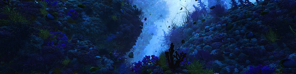 ocean reef digital wallpaper, multiple display, underwater, fish, nature HD wallpaper