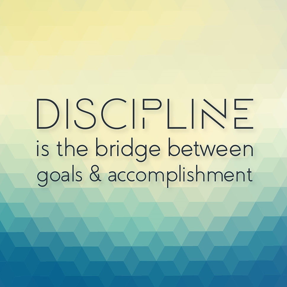 discipline text, quote, typography HD wallpaper