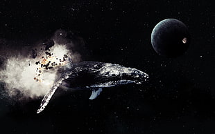 black and white humpback whale illustration, space, stars, planet, Moon