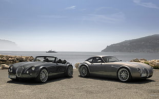 black and gray coupes, Wiesmann, car, vehicle